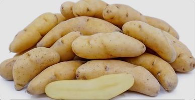 A pile of fingerling potatoes with one cut open.