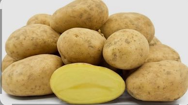 A pile of fresh yellow potatoes with one cut in half.