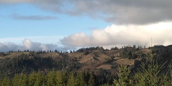 Scenic view of a forested mountain range under a partly cloudy sky.