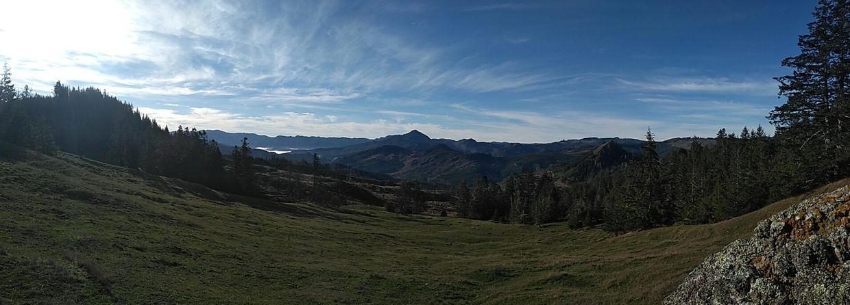 A panoramic view of a grassy valley surrounded by trees and distant mountains under a partly cloudy sky.