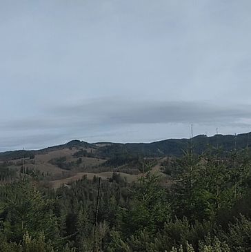 Scenic view of forested hills under a cloudy sky.