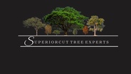SuperiorCut Tree Experts 