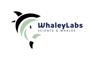 Whaleylabs