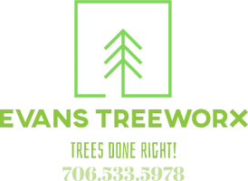 Evans Treeworx