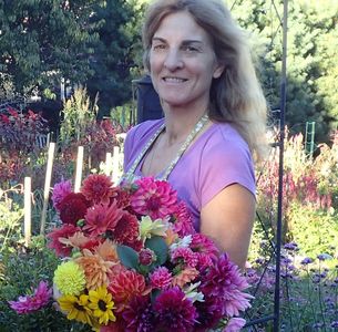 Image of Owner/Farmer Liz Marcellus holding an armful of her dahlias in many colors