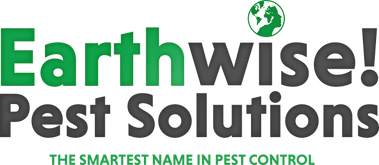 EarthWise! Pest Solutions