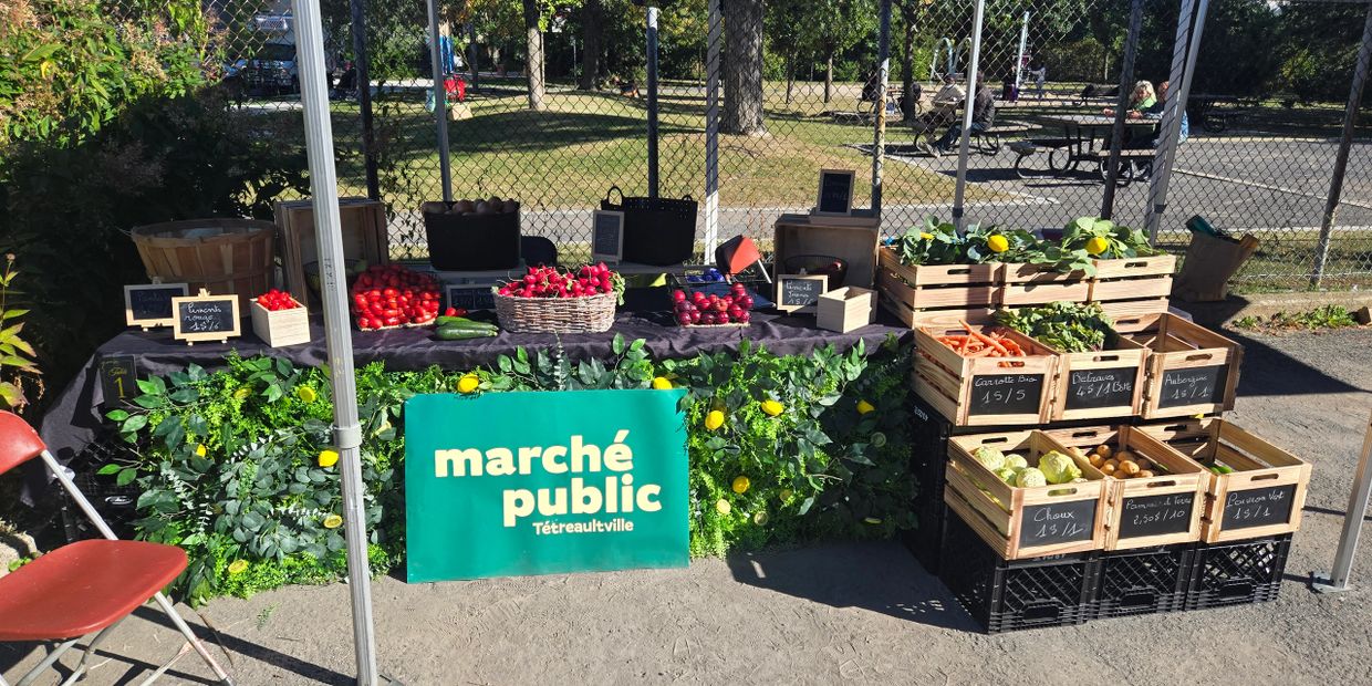 Outdoor market stall with fresh vegetables and fruits under a sunny sky.