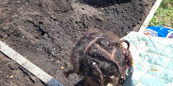 Young child gardening outdoors on a sunny day.
