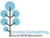 Oracle HCM Specialists