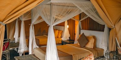 Cozy tent interior with two beds and mosquito nets.