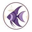 Angelfish Boat Tours