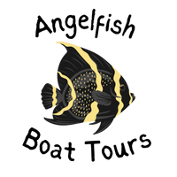 Angelfish Boat Tours