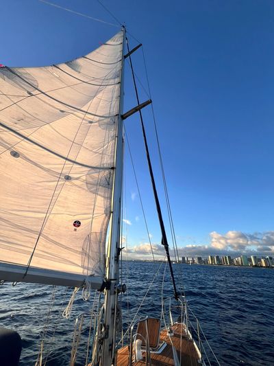Full main sail on a sunset sail