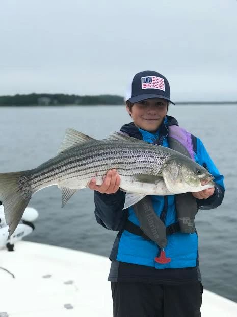 Cape Fishing - Striped Bass Guides, Guided Fishing Trips, Flying Fish