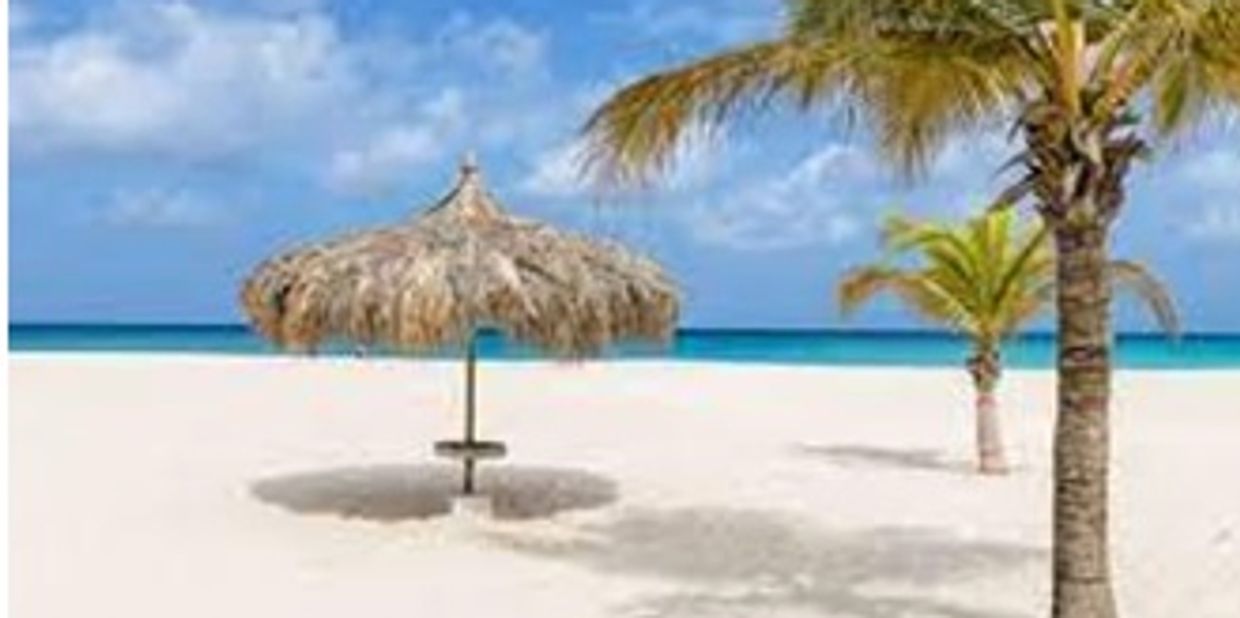 Manco Beach gazebo/palapa with palm trees in Aruba.