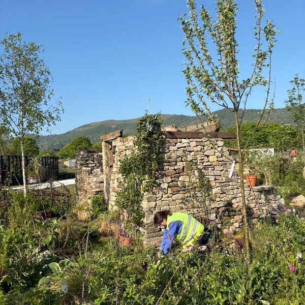 Person working in a garden with stone structures and mountains in the background.