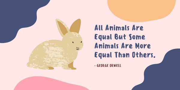 Rabbit With Quote
