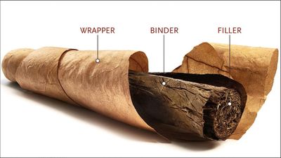 Labeled parts of a cigar: wrapper, binder, and filler.