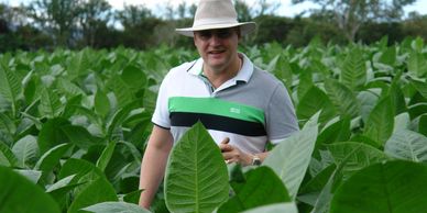 Man in a hat standing in a lush green field of large leafy plants.