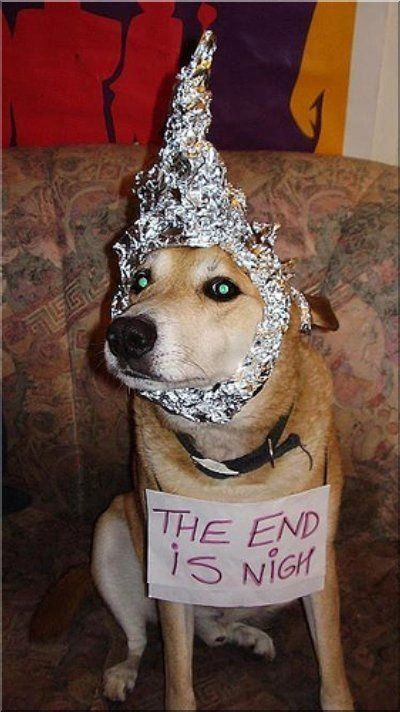 dog%20tin%20foil%20hat.jpg