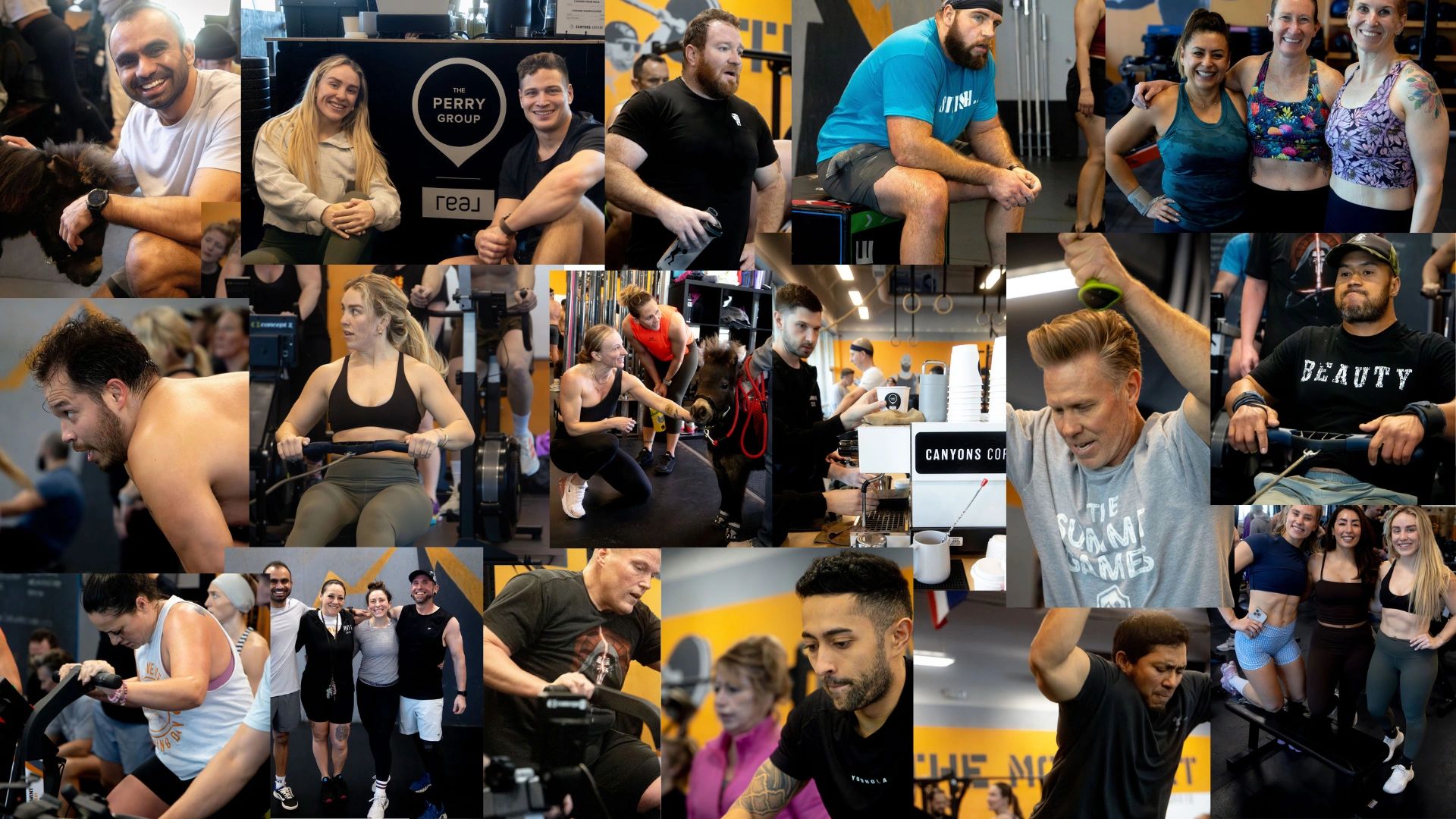 The Movement Training Day — Globo gym in West Jordan, UT