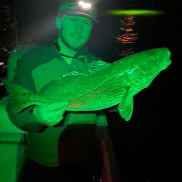 night fishing charters dauphin island