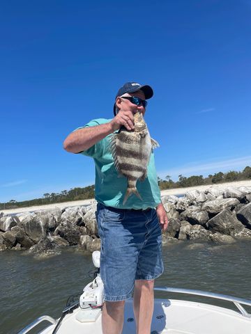 sheepshead dauphin island fishing charter