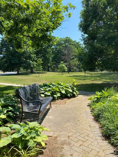 Peaceful Sitting Bench in Wilmington Park