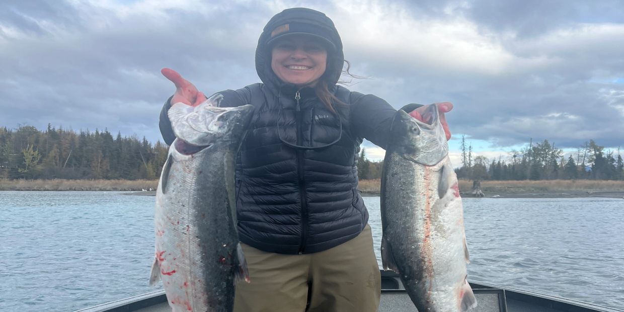 Silver Salmon caught on a Salmon, Trout combo fishing trip on the Kenai River.