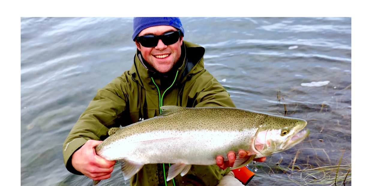 A large wild Rainbow Trout. These fish often migrate in and out of Skilak lake in search of food and
