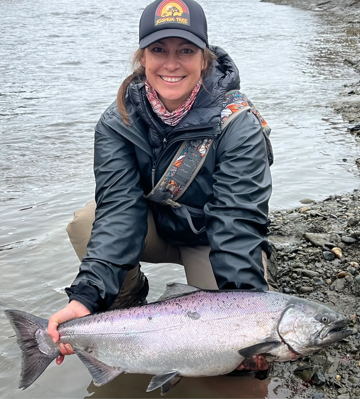 A prime example of hatchery King Salmon from the Kasilof River in May.   