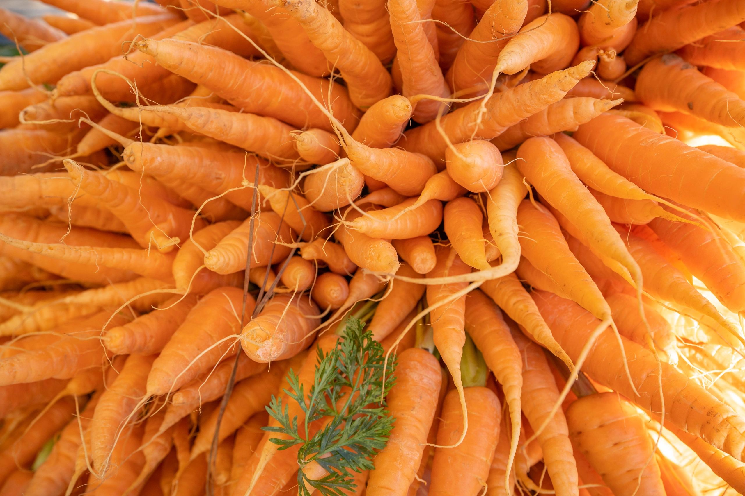 Avondale Estates Farmers Market