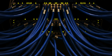Blue Ethernet cables connected to a network switch with illuminated status lights.