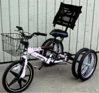 Custom Bicycle-Tricycle