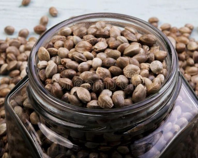 THCa seeds 3 strain pack!