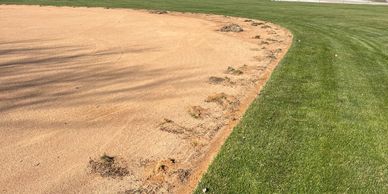A baseball field with a sandy infield and green grass under a clear blue sky.