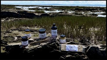 Natural skincare products displayed on rocks near a coastal marshland.
