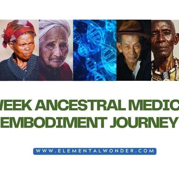 Ancestral medicine and embodiment journey featuring diverse elders and DNA imagery.