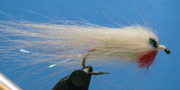 During a fishinar fly fishers and club members spend a day learning new techniques, watch demonstrat