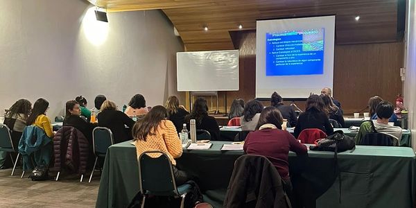 Entrenamiento EMDR 