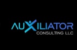 Auxiliator Consulting LLC