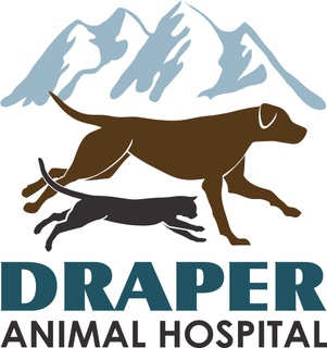 Draper Animal Hospital