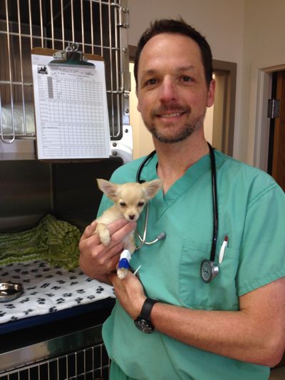 Dr. Chapman with Cupid