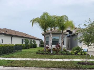 Modern house with palm trees and manicured lawn.