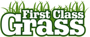 First class grass