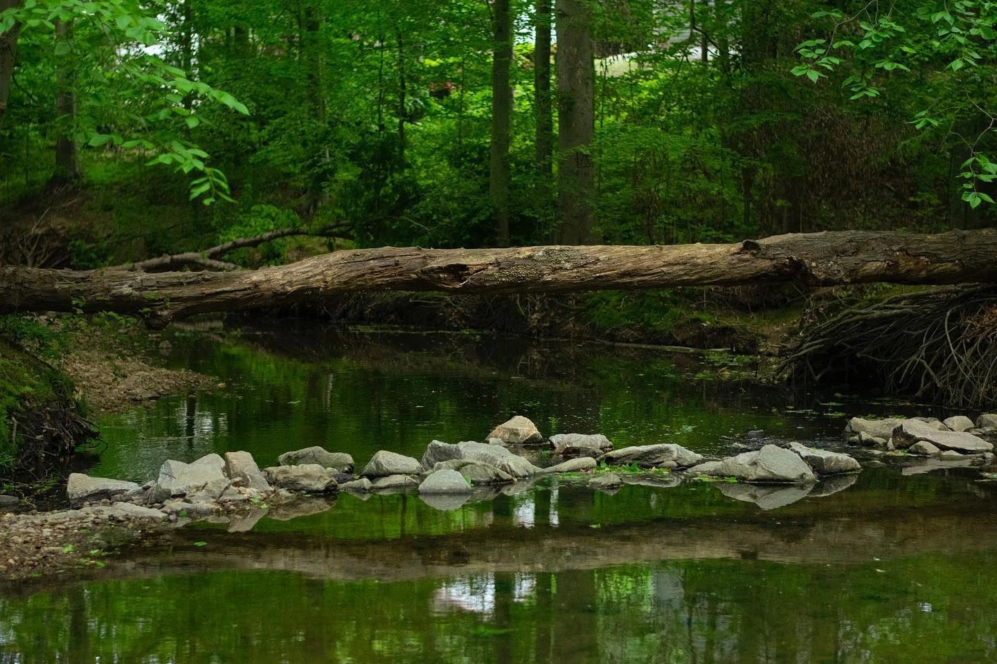 Professional Photography Services