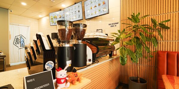 Cozy coffee shop counter with coffee grinders and a potted plant.
