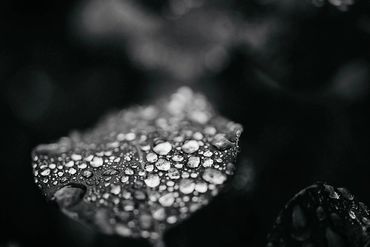 Wedding Photography Phillip Island