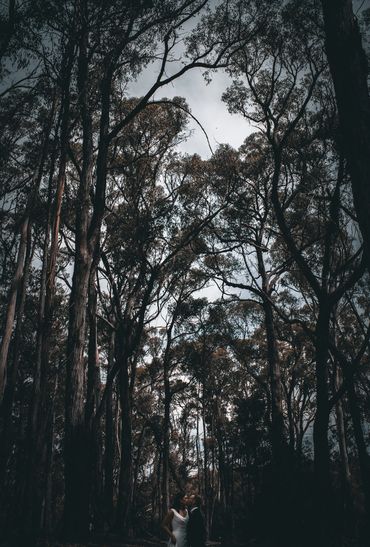 Wedding Photography Phillip Island