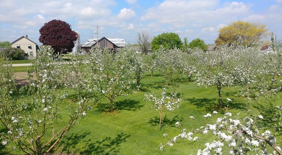 Sharkys Orchard photo